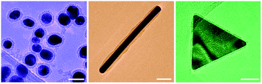 Transmission electron microscopy images of gold nanoparticles with silicon dioxide layer.